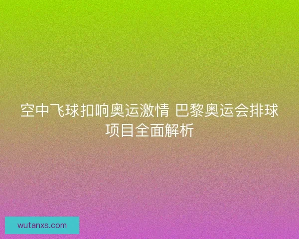 空中飞球扣响奥运激情 巴黎奥运会排球项目全面解析